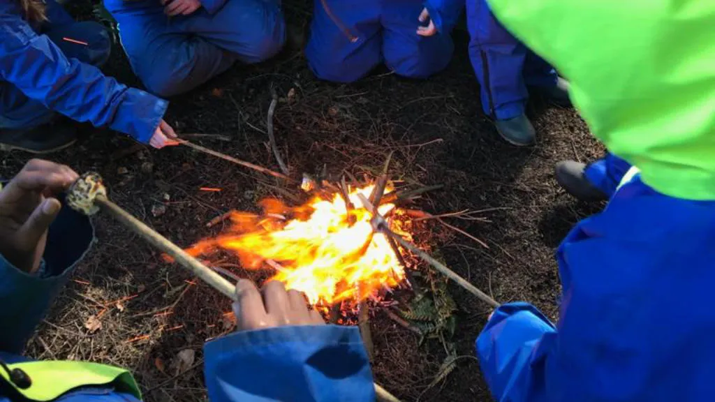Group of people toasting marshmallows on sticks sitting in a circle around a fire.